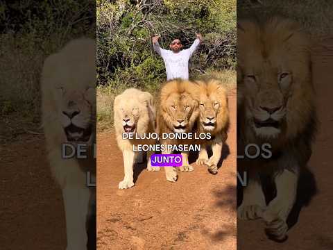 Los impresionantes animales
