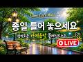 5060 늦은 사랑 💛 다시 찾아온 설렘의 순간들 | Late Love, Love Found Again