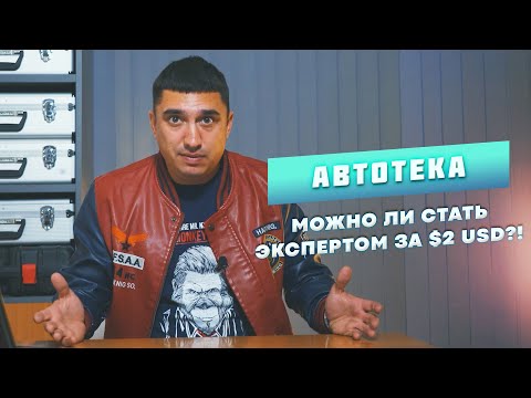 Как проверить машину по базам или что покажет автотека?