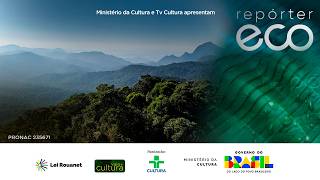 REPÓRTER ECO | Mata Atlântica em alerta, povos indígenas e novo parque estadual em SP | 31/05/2026