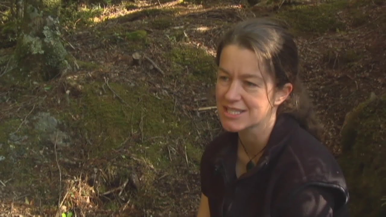 Meet the Locals: Pomona Island