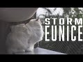 Cats in Storm Eunice | Ragdolls Pixie and Bluebell