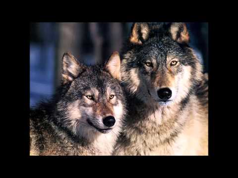 Ο ΑΣΥΜΒΙΒΑΣΤΟΣ-M.ΚΑΡΒΕΛΑΣ-ΠΑΛΙΑ ΛΑΙΚΑ
