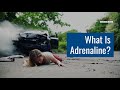 What Happens To Your Body During a Car Accident?