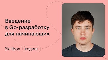 Телеграм-бот на Golang. Интенсив по Go-разработке