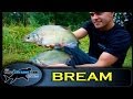 Float Fishing for Bream with Sweetcorn - The Totally Awesome Fishing Show