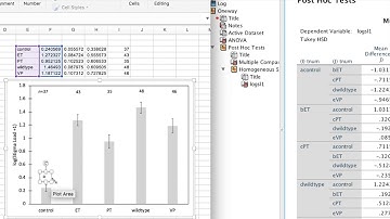 Tukey multiple comparisons on SPSS