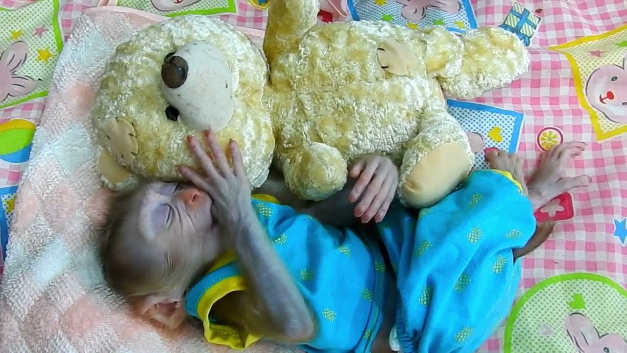 Little Doddy Peaceful Asleep With Bear Doll On The Mattress