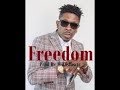 Shatta Wale   Freedom (Karaoke)
