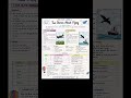 ✈️ Two Stories About Flying: courage, dreams &amp; freedom in the sky 🌤️🕊️