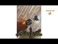 Review VAXCANZE 350 W Cordless Vacuum Cleaner for Dewalt Battery, 20 V Battery Vacuum Cleaner, 35 kP