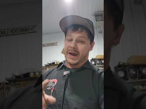 What, how, & why gravity bleeding doesn't work! #shorts