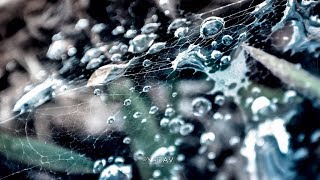Artificial Neural Network Written from scratch memory at Java Level without ML libs -By God Bennett