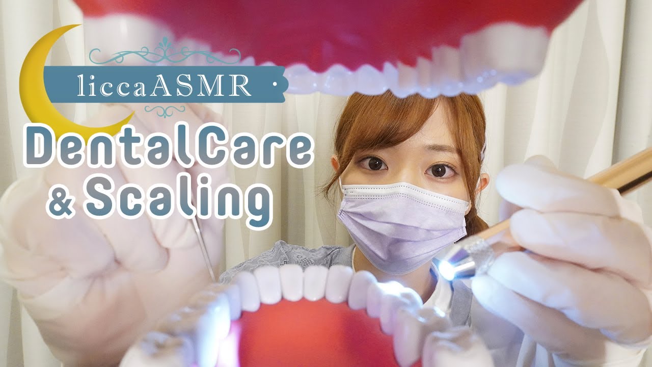 【ASMR】歯科助手liccaのデンタルケア🦷歯ブラシ・歯石除去・虫歯予防コーティング✨ / Dental Care & Scaling / 스케일링(声なし：No Talking)