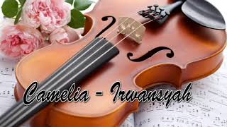 Camelia - Irwansyah (Violin Cover)