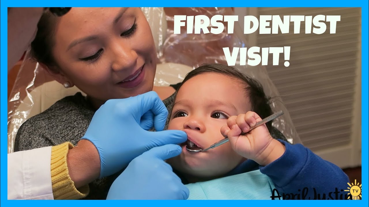 youtube toddler dentist visit