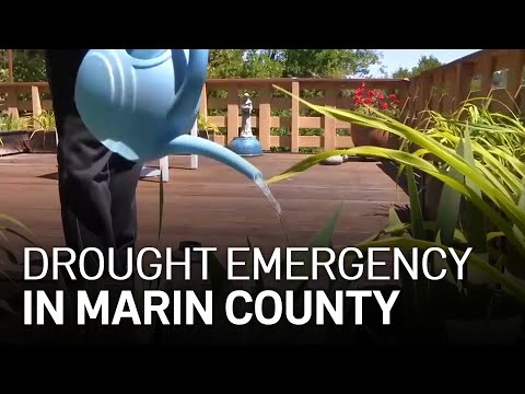 Marin County Declares a Drought Emergency