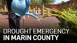 Marin County Declares a Drought Emergency