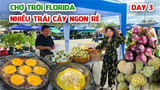 Chợ Trời Người Việt ở Florida Bán Nhiều Trái Cây Tươi Ngon - Review Nhà Thuê Giá Cả ở Clearwater