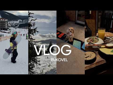 VLOG 1. Буковель взимку, Львів, Грибова Хата, Lubich Concept Hotel, Twins Hotel&Spa.