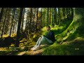 You NEED to see these Film Emulations | Colour Grading in Davinci Resolve | Dehancer Pro | Sony FX3