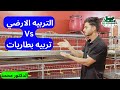 الفرق بين التربية الدواجن الأرضي 🐔 والتربية في بطاريات مميزات وعيوب كل نوع مع الدكتور ✅