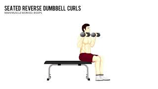 seated reverse dumbbell curl