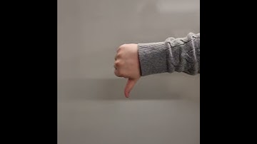 Video Data for Hand Gesture Recognition Project