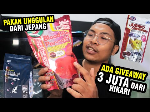 REVIEW BLOOD RED PARROT, SAKI-HIKARI GROWTH, DAN JUMBO CARNISTIK! ADA GIVEAWAY 3 JUTA