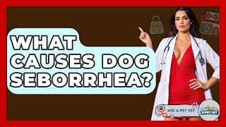 What Causes Dog Seborrhea? - Ask A Pet Vet