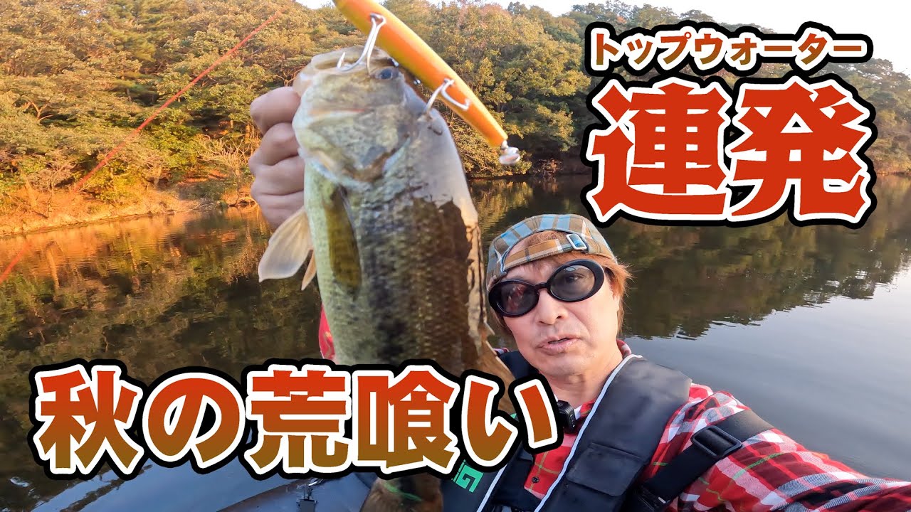 トップで秋の荒食い！連発です！