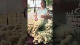 Texas Fiber Gathering: Judging A Fleece