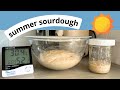 Summertime Sourdough 🌞 Making FM Flour Sourdough Bread (&amp; managing a starter) in Hot Weather
