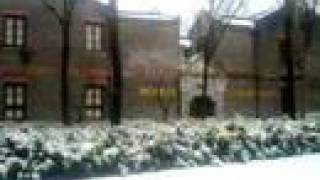 Download Lagu To Be Along With You - Sufjian Stevens MP3