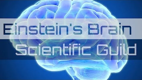 How was Albert Einstein so genius? | What made him so intelligent? | Scientific Guild