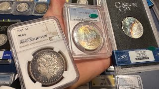 My Entire Graded Morgan Silver Dollar Collection! What Morgans should you Collect!?