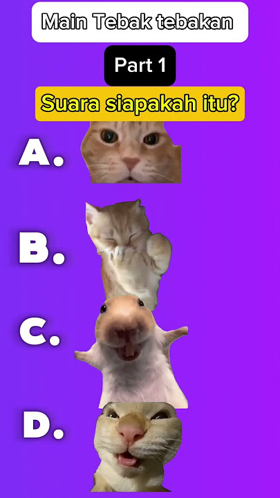 Main Tebak Tebakan|Part 1 #meme #kucing #hiburan #fyp