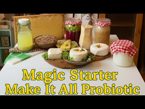        1 آموزش استارتر لاکتیکی برای تمام تخمیرها