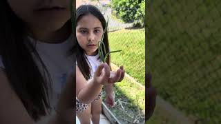 Îl ceartă pe tati ☺️😃 #sofiabrindas #vlog #funny #garden #onion