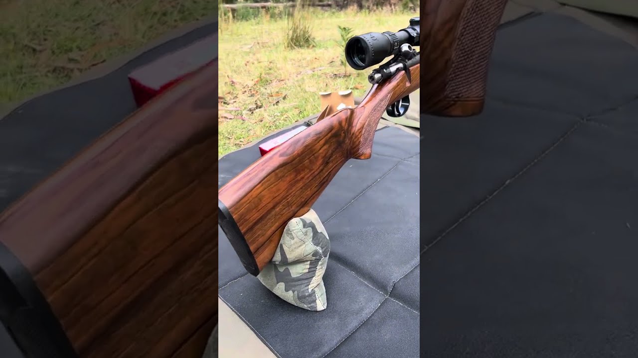 CZ 452 Ultra Lux : My Best 22lr Hunting Rifle 