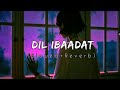 Dil ibaadat slowedreverb  pritam  kk  tum mile  maya vibes  textaudio