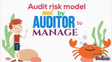 AUD689   Audit Risk, Materiality & Sampling1