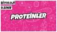 Proteinler ve Fonksiyonları ile ilgili video