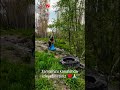 Doğayı koruyalım çevreyi temiz tutalım ♥️ #orman #chellenge #bushcraft #jungle #short #shortvideo
