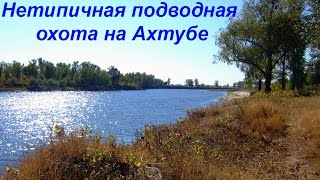 Нетипичная подводная охота на Ахтубе(Подводная охота в непримечательном месте, там, где казалось бы нет никакого смысла охотится. Охота на ровно..., 2014-11-05T21:34:21.000Z)