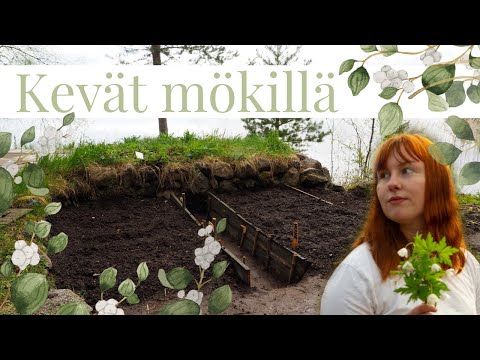 Video: Kasvaako metsästäjä lihaksia?