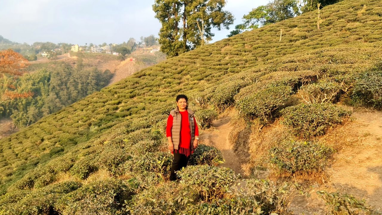 ILAM TEA ESTATE & VIEW TOWER
