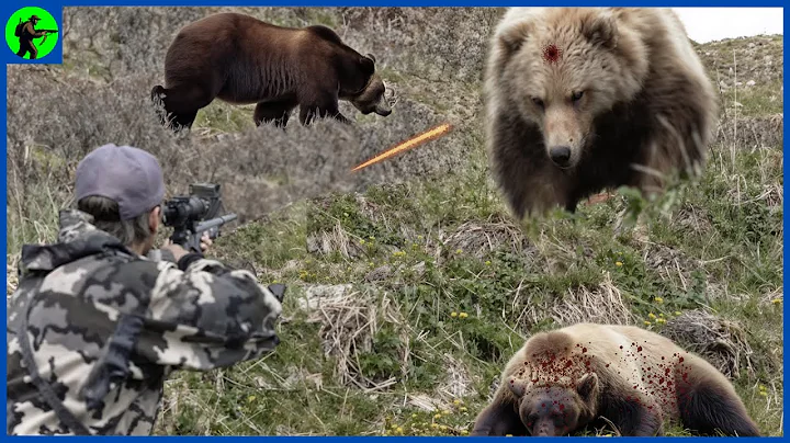 How Do American Hunters And Farmers Deal With Million Of Wild Boar And Bear By Guns