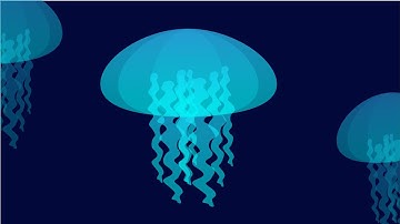 How to create jellyfish animation in adobe animate