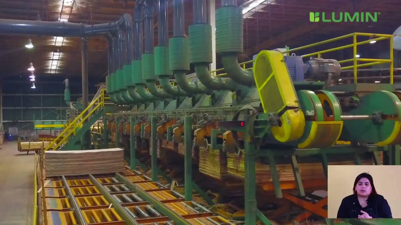 Lumin 2022 l VIDEO PRODUCCIÓN con Subtítulos l Lengua de Señas l Locución